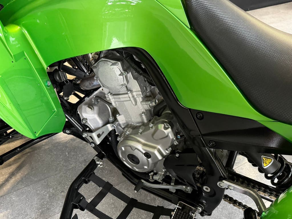 2018 Raptor 700R — custom build, extended swingarm, photo 12
