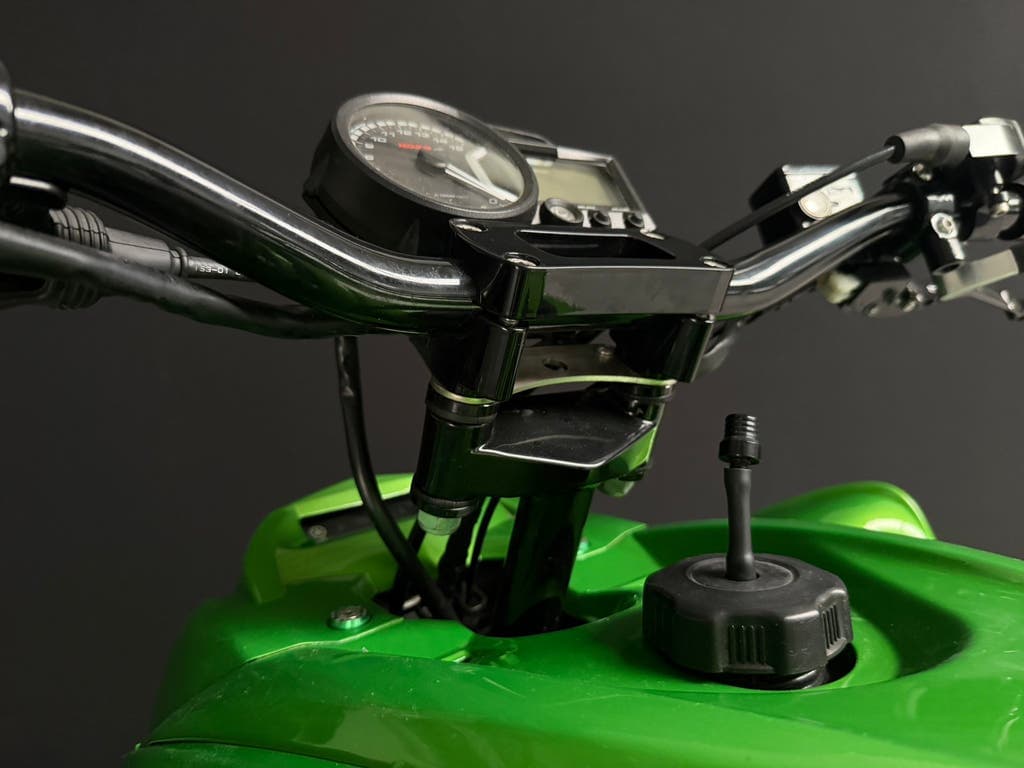 2018 Raptor 700R — custom build, extended swingarm, photo 5