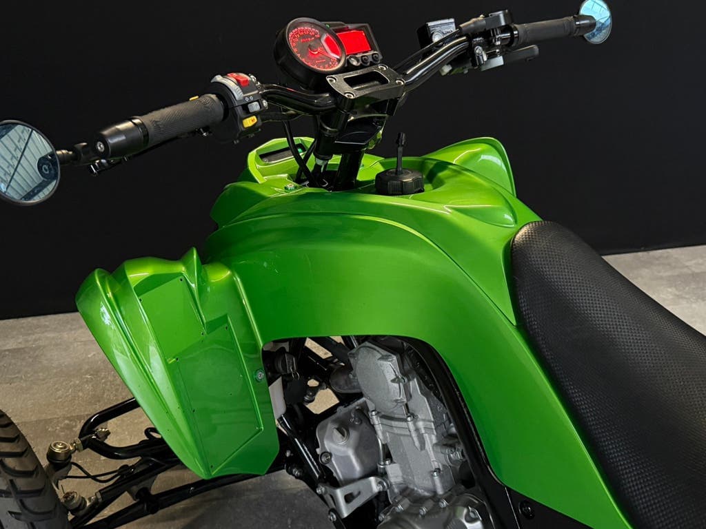 2018 Raptor 700R — custom build, extended swingarm, photo 9